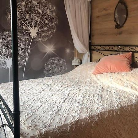 Holiday Guesthouse La Casina Di Butzi Pet Friendly - Terme Di Arta - Zoncolan Arta Terme Eksteriør billede