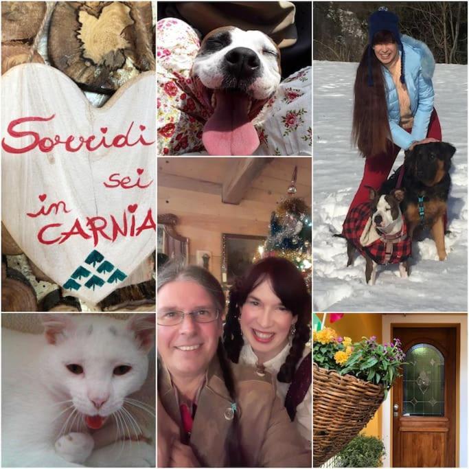 Holiday Guesthouse La Casina Di Butzi Pet Friendly - Terme Di Arta - Zoncolan Arta Terme Eksteriør billede
