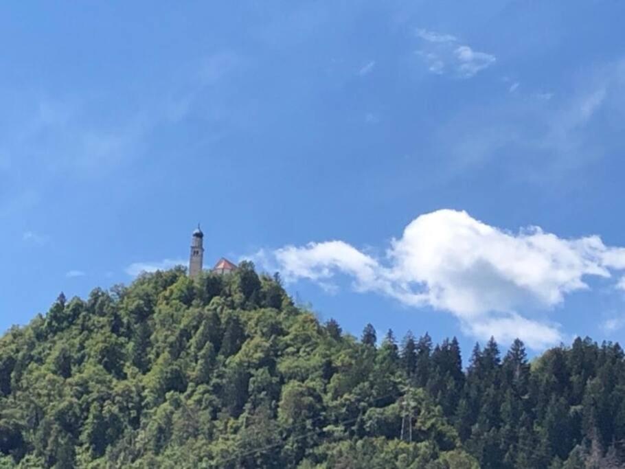 Holiday Guesthouse La Casina Di Butzi Pet Friendly - Terme Di Arta - Zoncolan Arta Terme Eksteriør billede