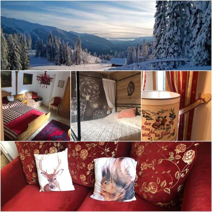 Holiday Guesthouse La Casina Di Butzi Pet Friendly - Terme Di Arta - Zoncolan Arta Terme Eksteriør billede