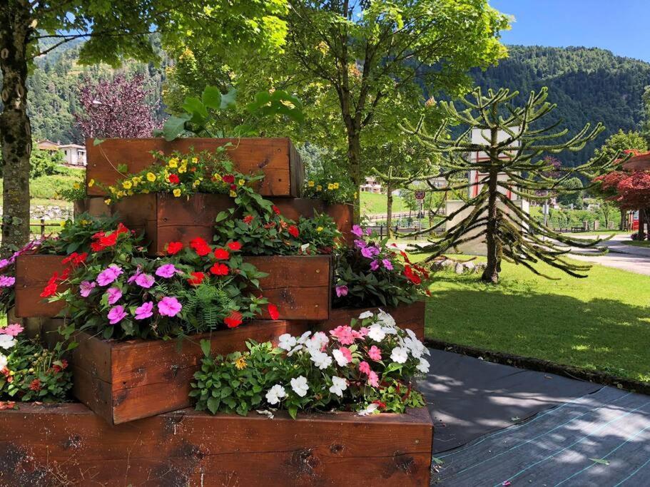 Holiday Guesthouse La Casina Di Butzi Pet Friendly - Terme Di Arta - Zoncolan Arta Terme Eksteriør billede
