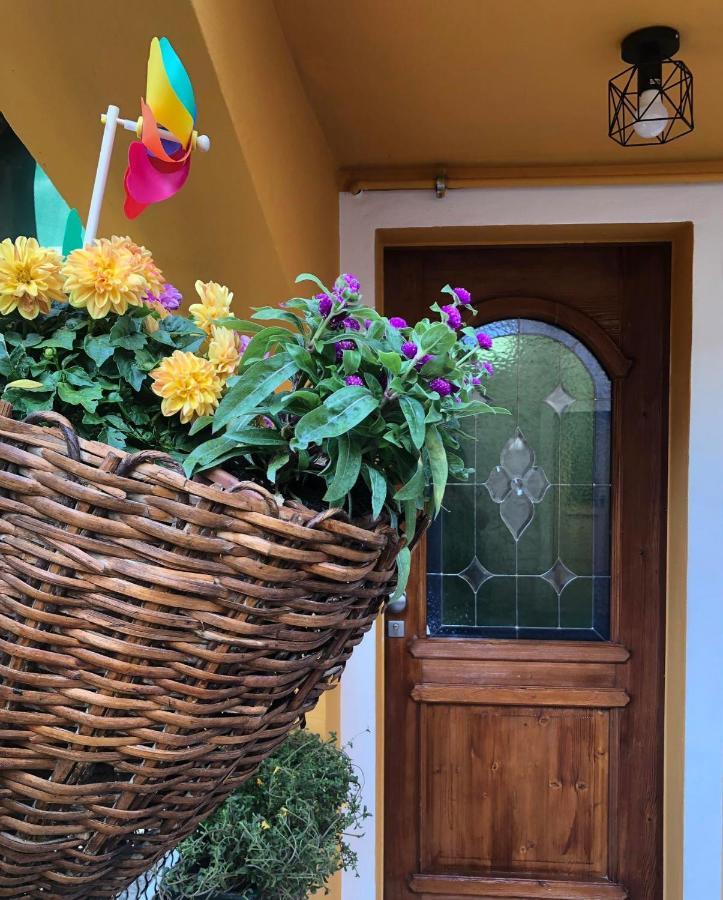 Holiday Guesthouse La Casina Di Butzi Pet Friendly - Terme Di Arta - Zoncolan Arta Terme Eksteriør billede