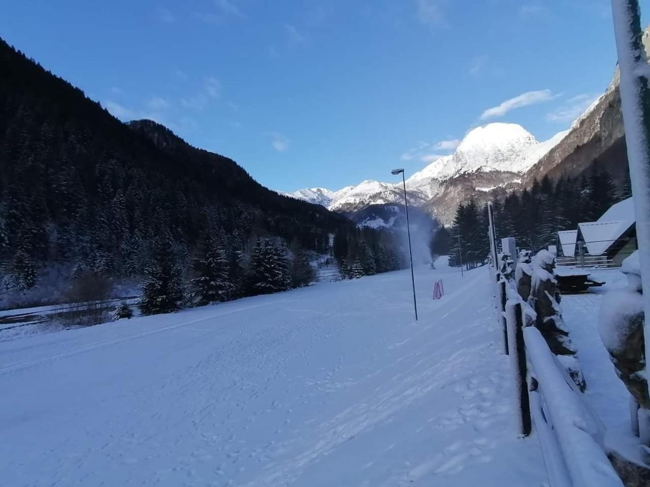 Holiday Guesthouse La Casina Di Butzi Pet Friendly - Terme Di Arta - Zoncolan Arta Terme Eksteriør billede