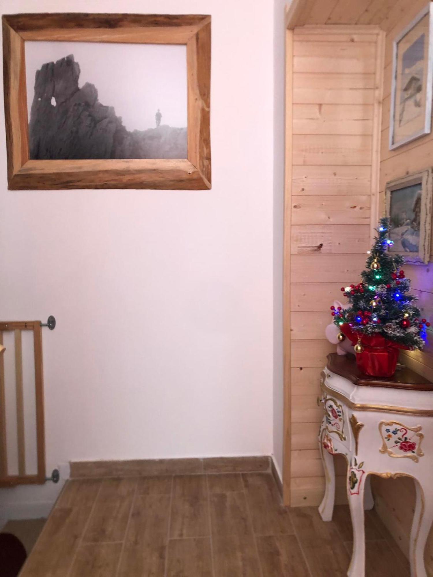 Holiday Guesthouse La Casina Di Butzi Pet Friendly - Terme Di Arta - Zoncolan Arta Terme Eksteriør billede