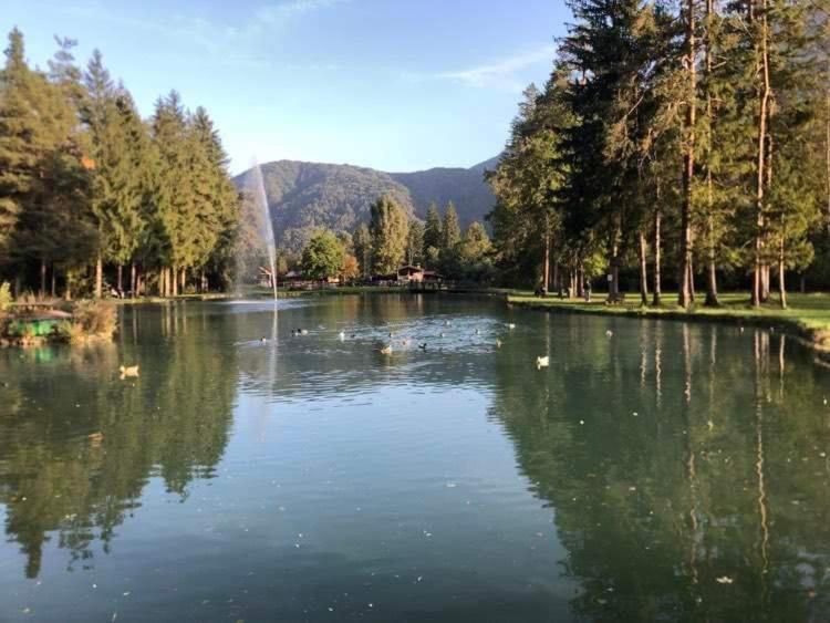 Holiday Guesthouse La Casina Di Butzi Pet Friendly - Terme Di Arta - Zoncolan Arta Terme Eksteriør billede